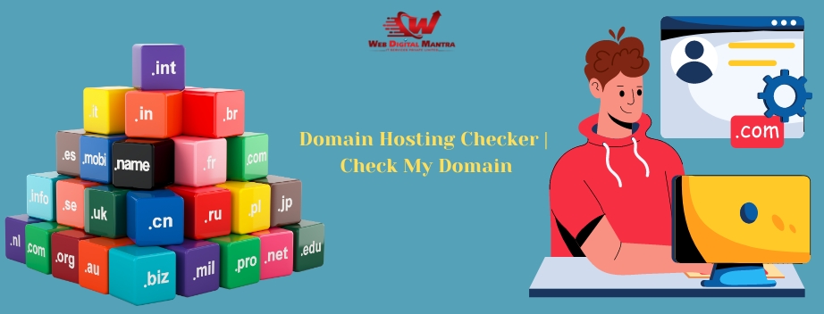 Domain Hosting Checker | Check My Domain